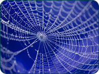 Search Engine Marketing Services