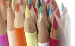 Website Development - Website Design Services